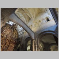 Tui, photo José Antonio Gil Martínez, Wikipedia,4.jpg